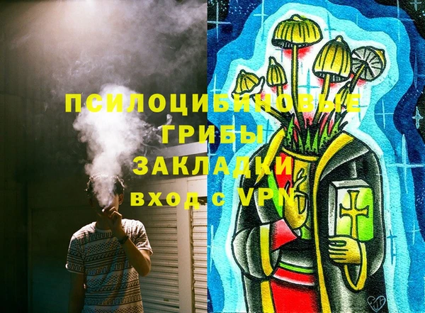 mdma Бородино